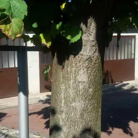 A Brebbia